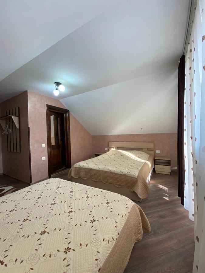 וטרה דורניי Pensiunea Casa Alexandra מראה חיצוני תמונה