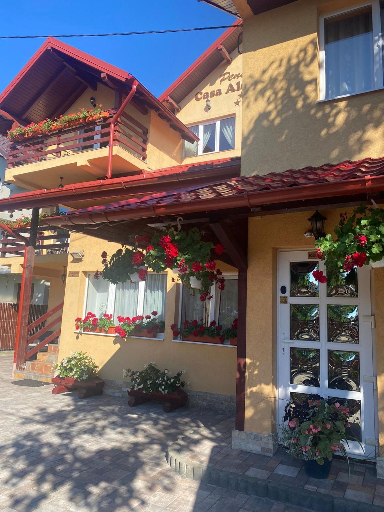 וטרה דורניי Pensiunea Casa Alexandra מראה חיצוני תמונה