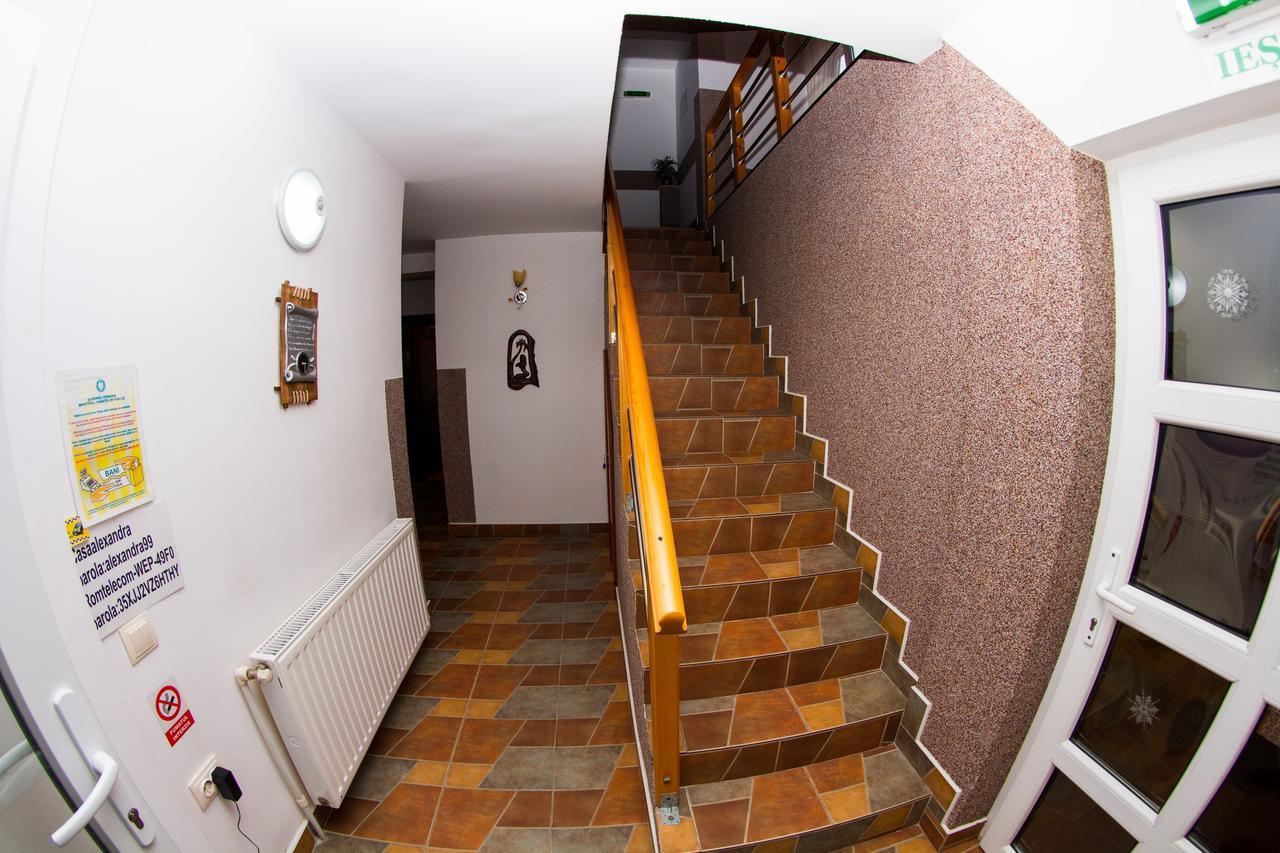 וטרה דורניי Pensiunea Casa Alexandra מראה חיצוני תמונה