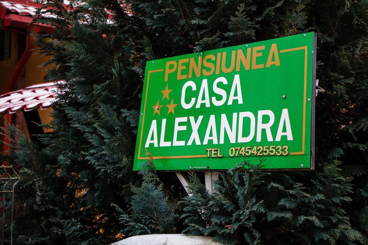 וטרה דורניי Pensiunea Casa Alexandra מראה חיצוני תמונה