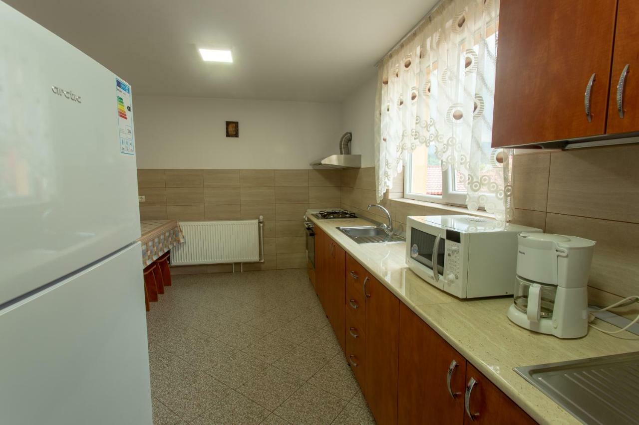 וטרה דורניי Pensiunea Casa Alexandra מראה חיצוני תמונה