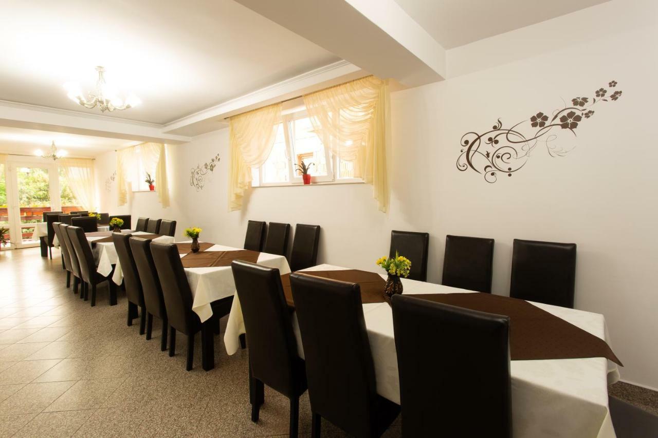 וטרה דורניי Pensiunea Casa Alexandra מראה חיצוני תמונה