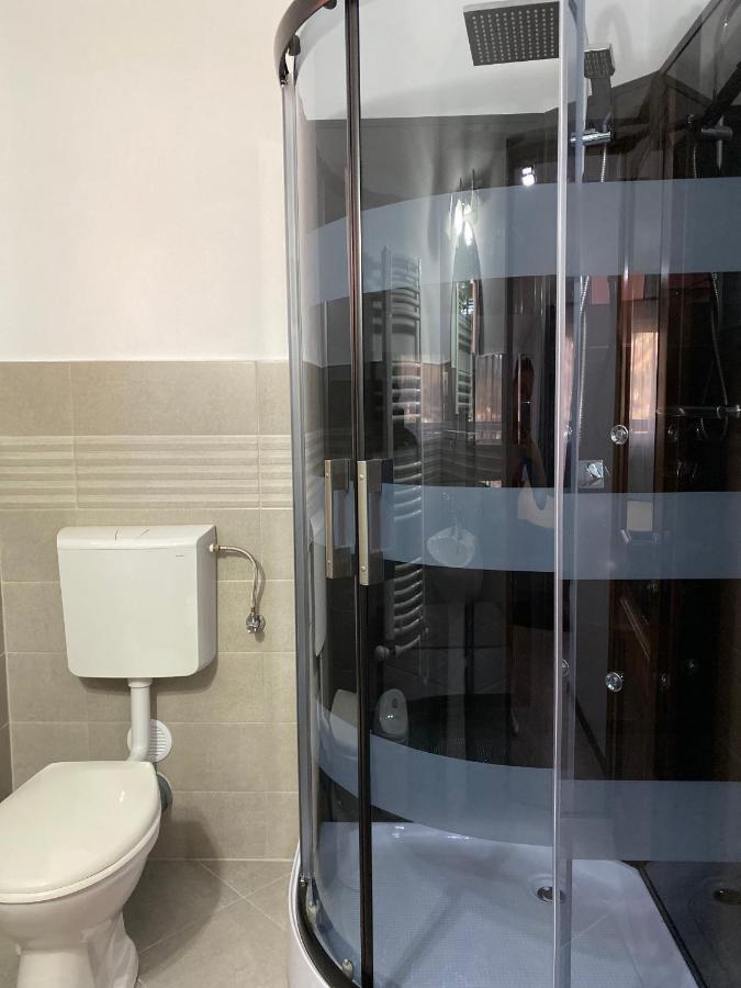 וטרה דורניי Pensiunea Casa Alexandra מראה חיצוני תמונה