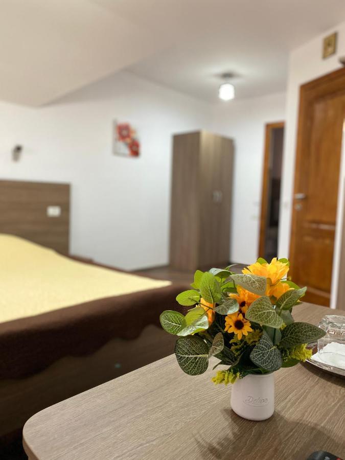 וטרה דורניי Pensiunea Casa Alexandra מראה חיצוני תמונה