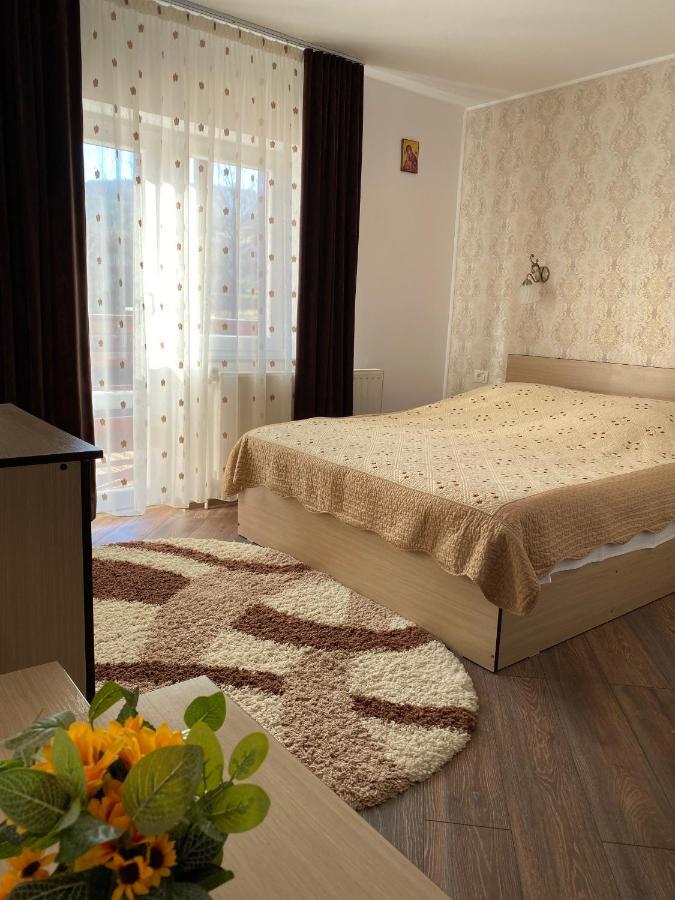 וטרה דורניי Pensiunea Casa Alexandra מראה חיצוני תמונה
