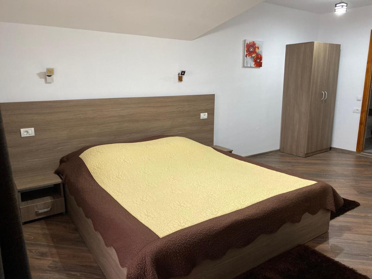 וטרה דורניי Pensiunea Casa Alexandra מראה חיצוני תמונה